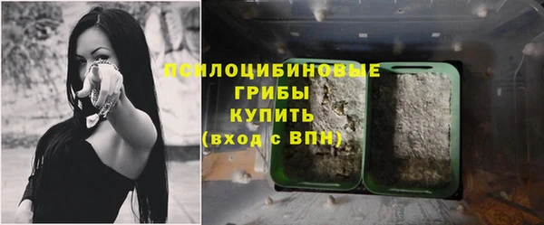 a pvp Елизово