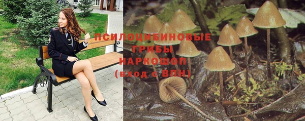 a pvp Елизово