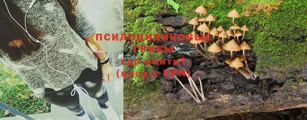 a pvp Елизово